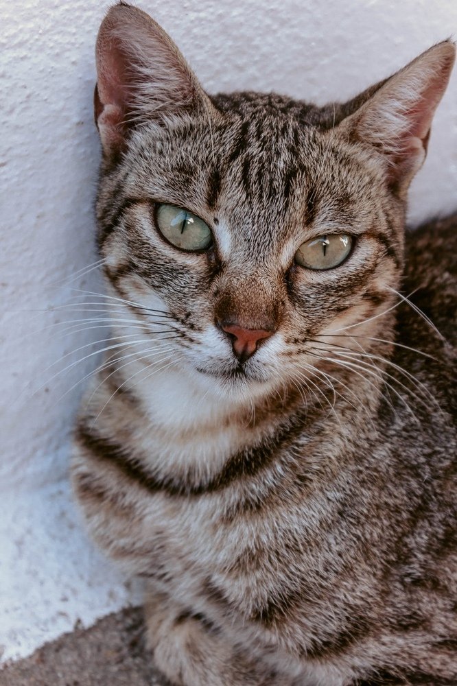 Photograph by Элина Данелия