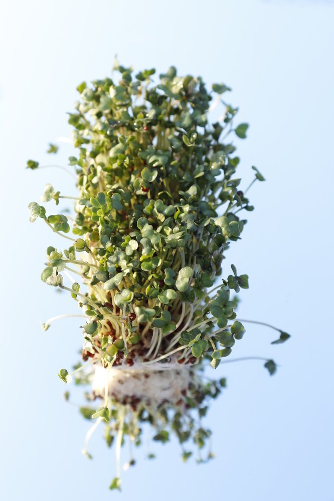 Photograph by Olga Bondarenko