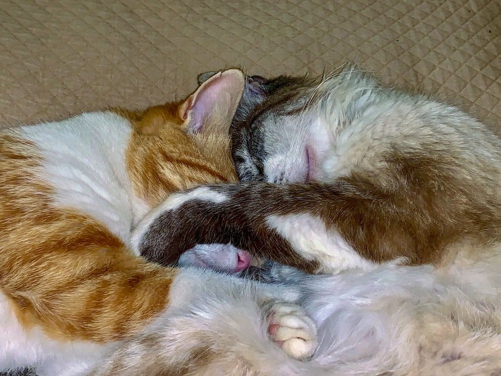 Photograph by Leonor