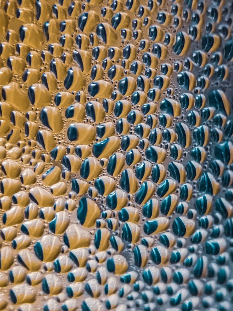 Photograph by Sanjay Kanti Seth