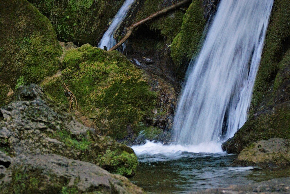 Photograph by Kálmán Rádai