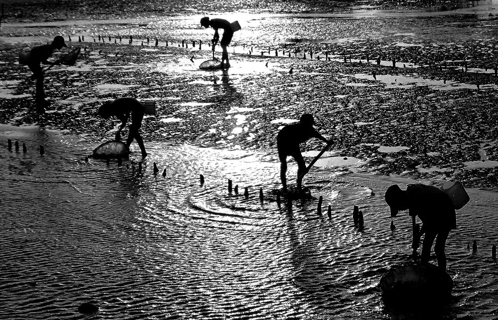 Photograph by HIEU LIEM DO