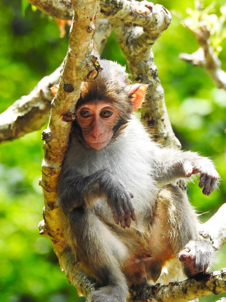 Photograph by Сергей Шипулин