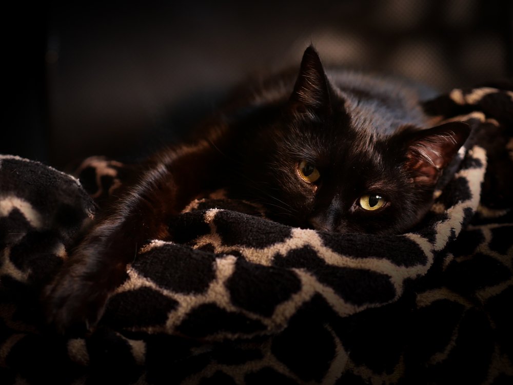 Photograph by Сергей Зварыч