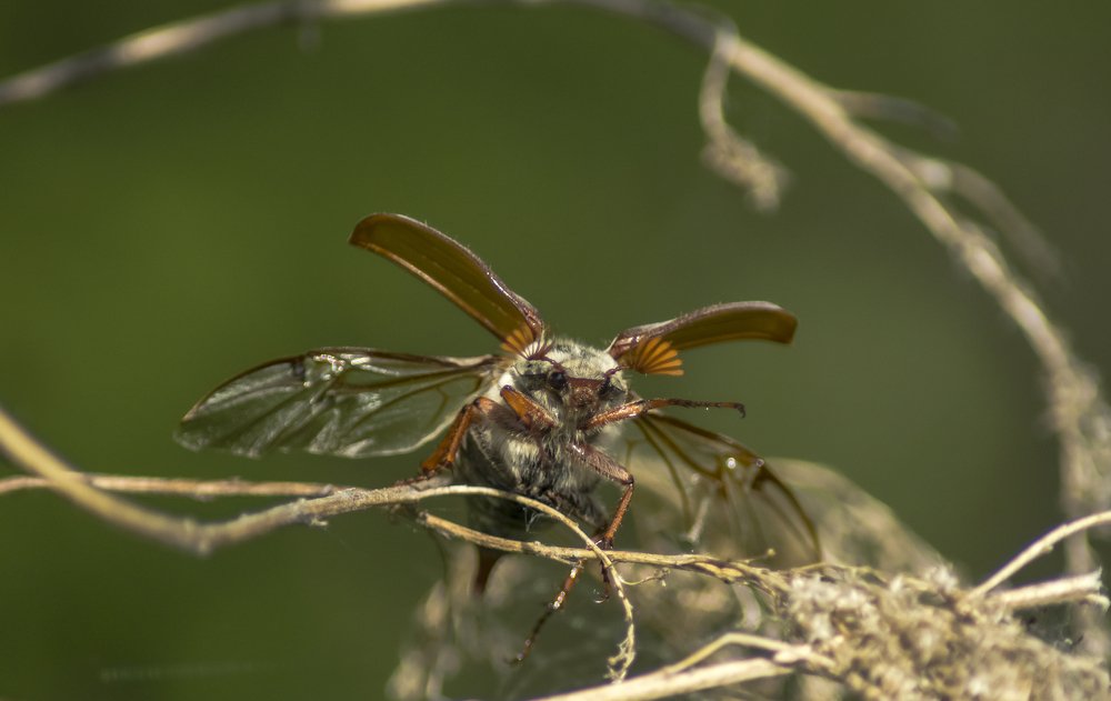 "Я напугаю тебя!"