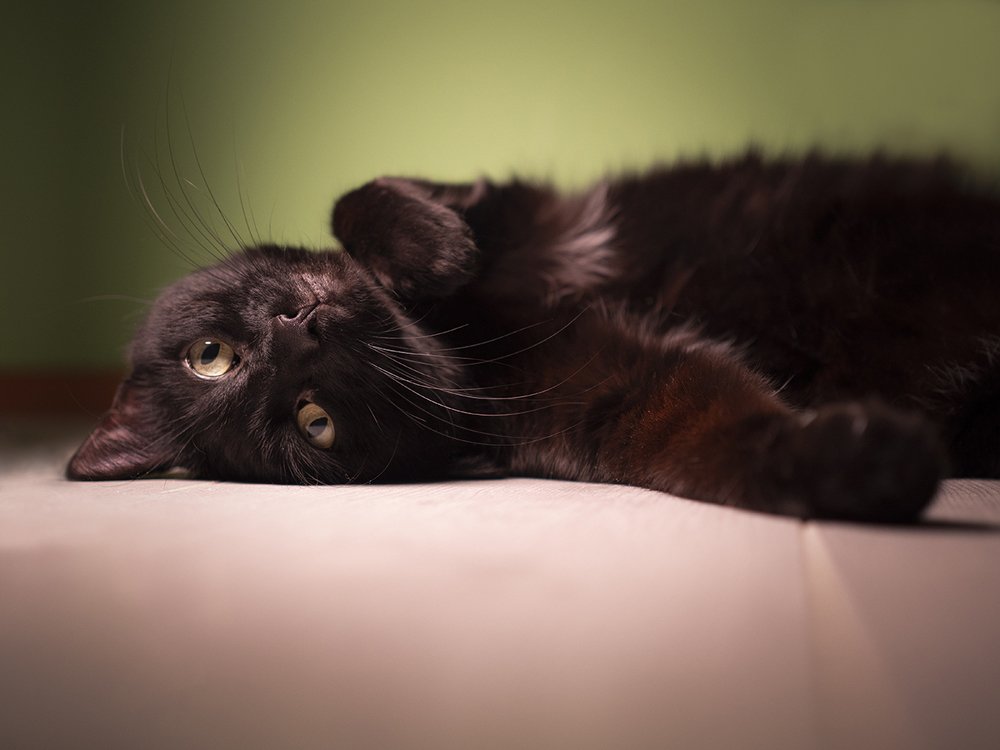 Photograph by Сергей Зварыч