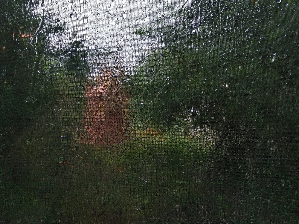 Photograph by Виолетта Мирошниченко