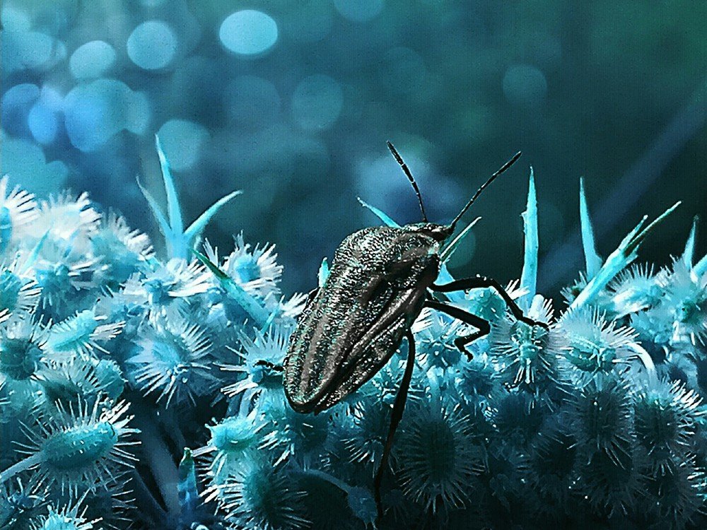 Photograph by Марина Гильмиярова