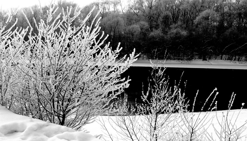 Photograph by леонид натапов