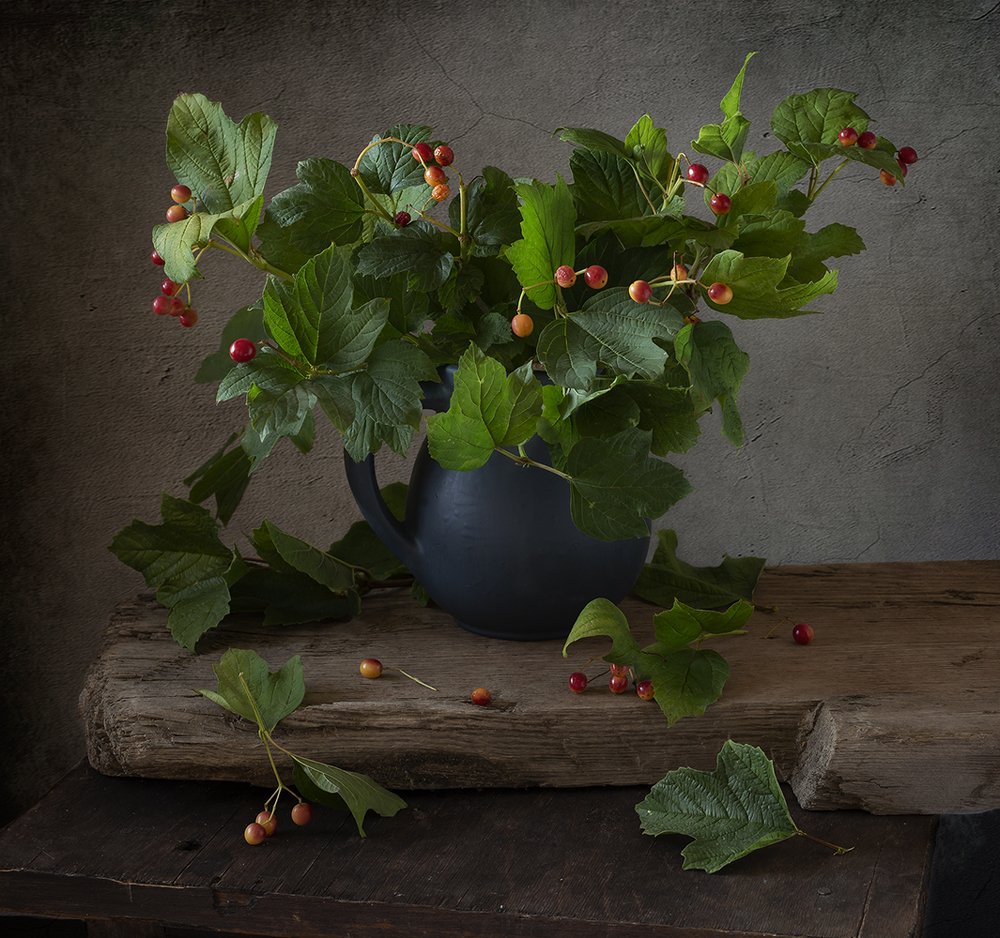 Фотография автора Olga Aleksandrovna