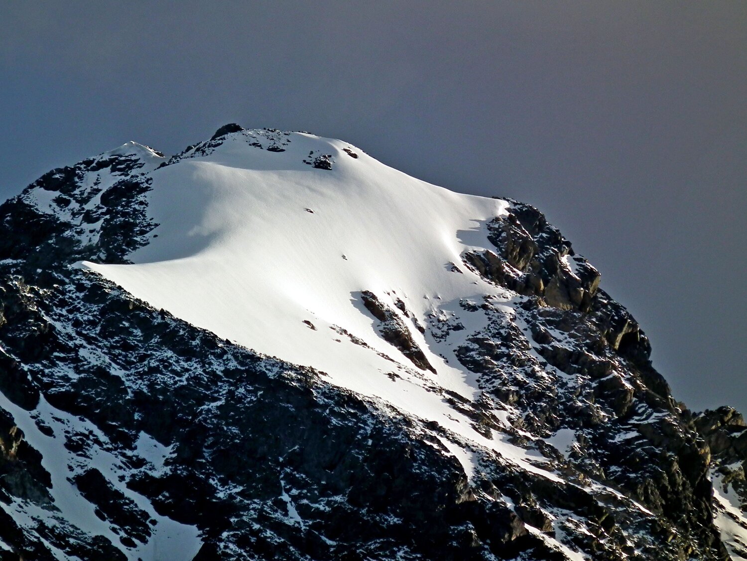 Photo #3532556