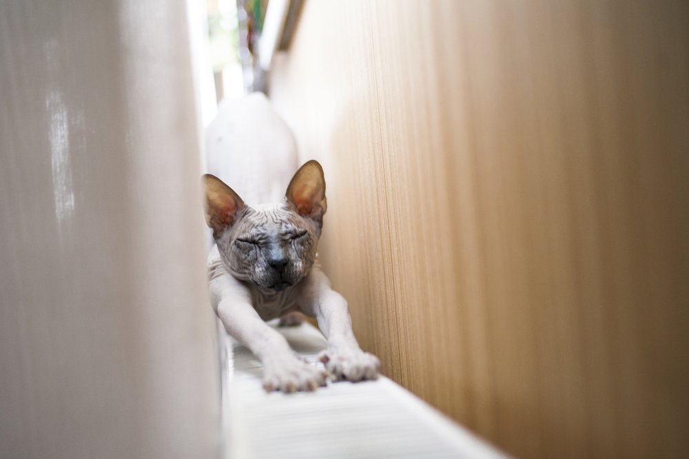 Photograph by Роман Мацнев