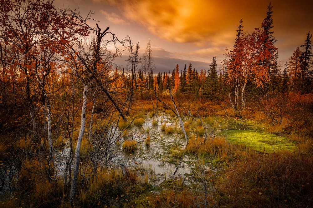 Photograph by Евгений Кужилев