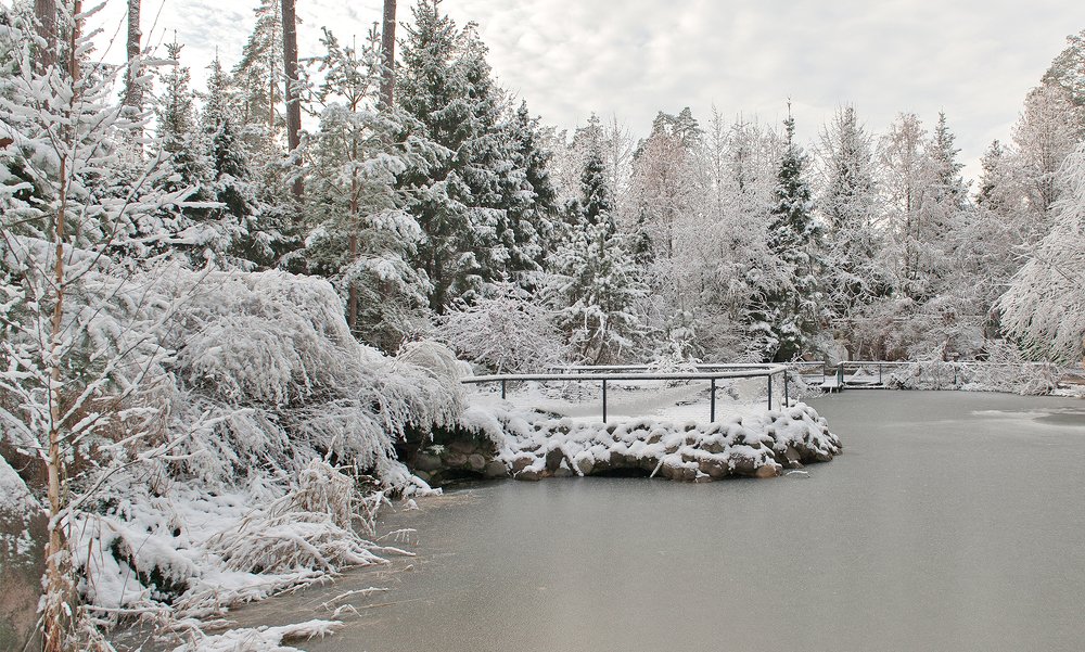 Photograph by Ольга Дядченко