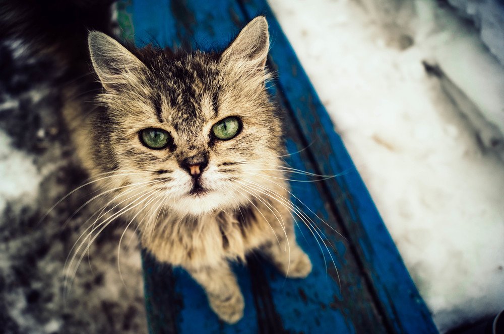 Photograph by Ирина Курочкина