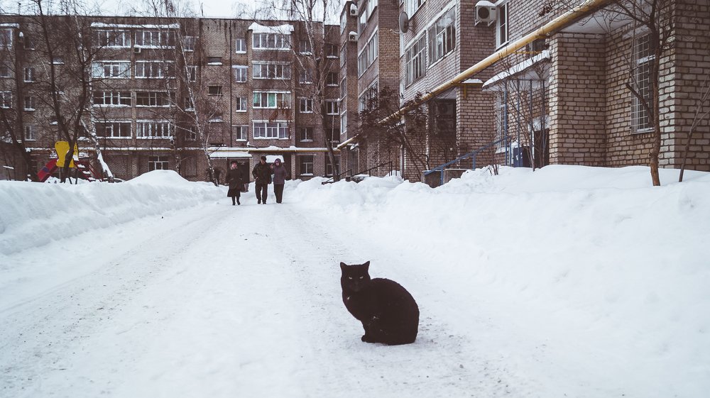 Photograph by Ирина Курочкина