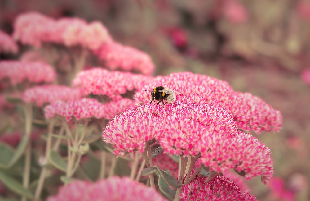 Photograph by Kerry Moore