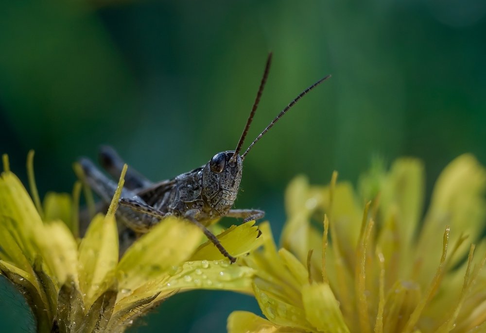 Photograph by Юлия Яремко