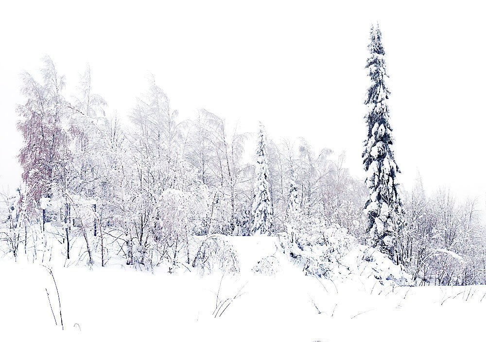 Photograph by Сергей Заболотских