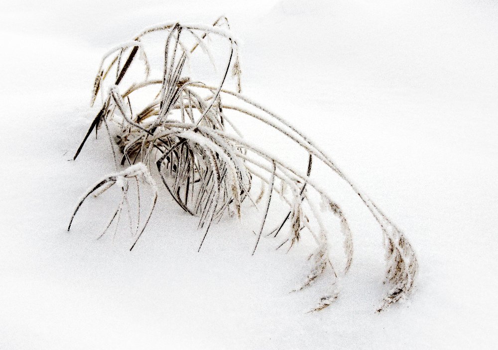 Photograph by Сергей Заболотских