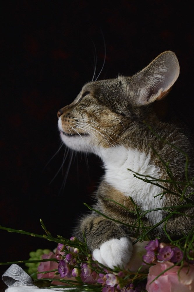 Photograph by Stephanie Hauslaib