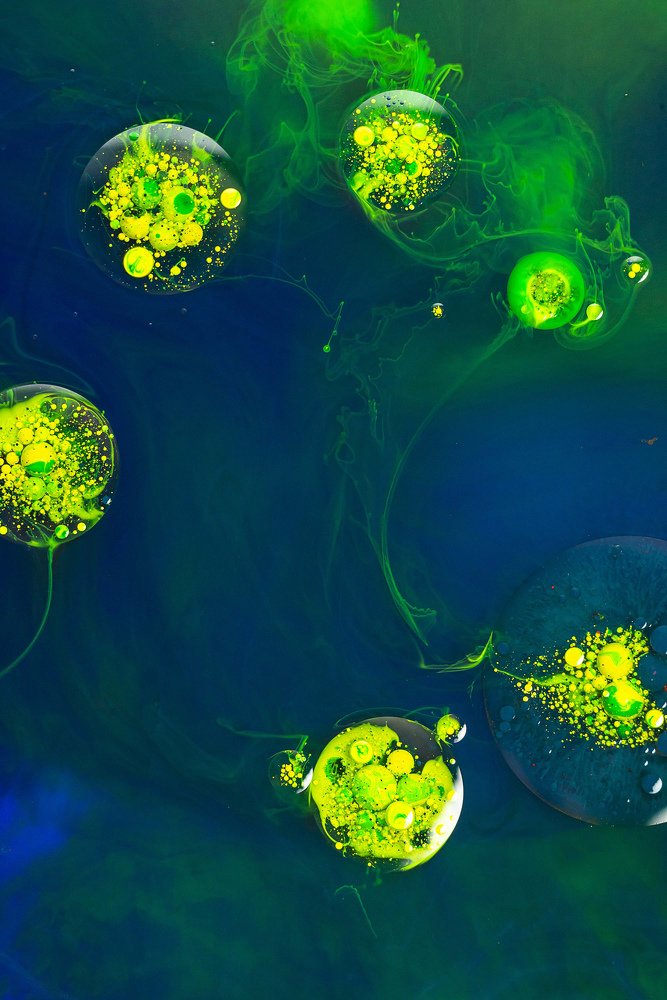 Photograph by M I Kangas