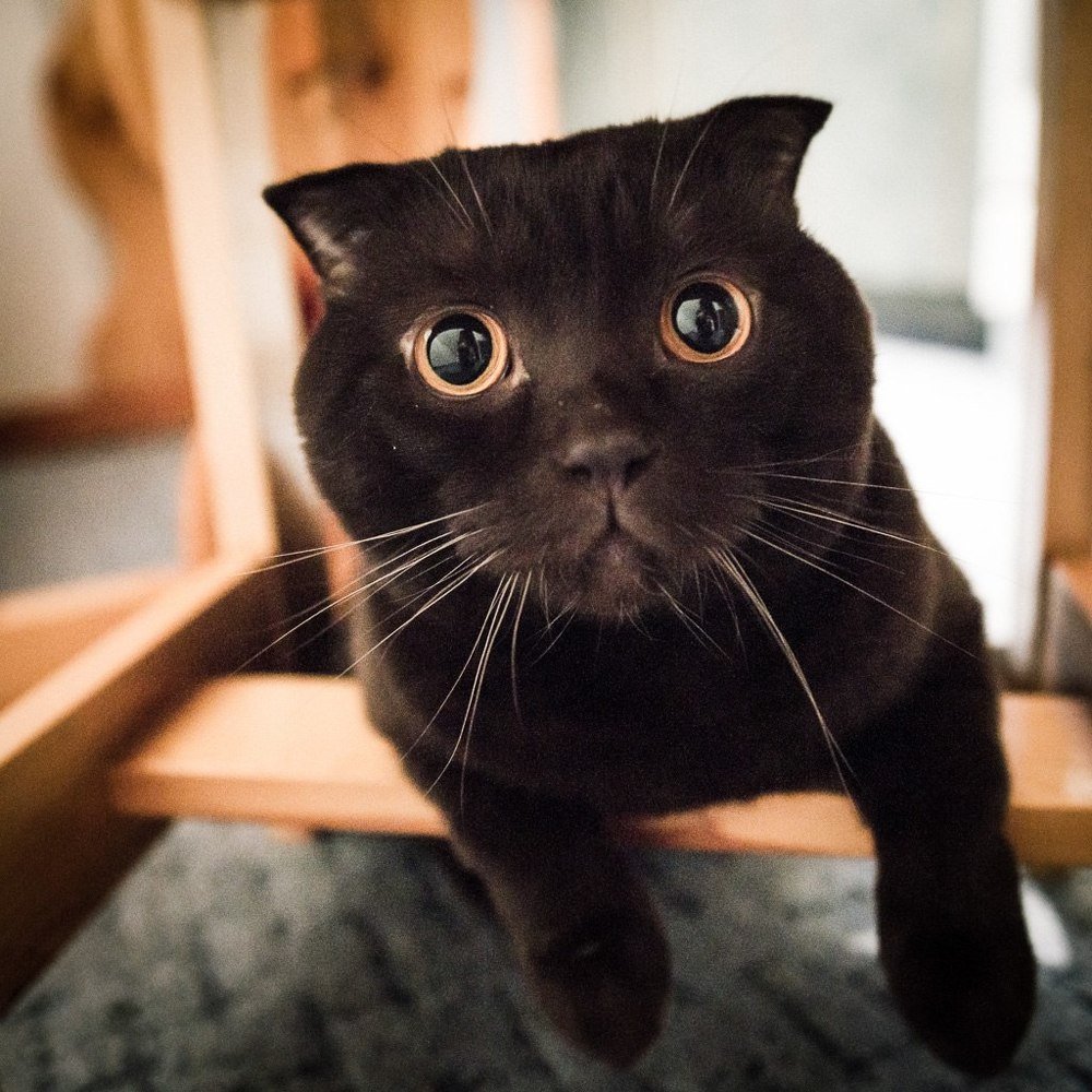 Photograph by Алексей Котлов