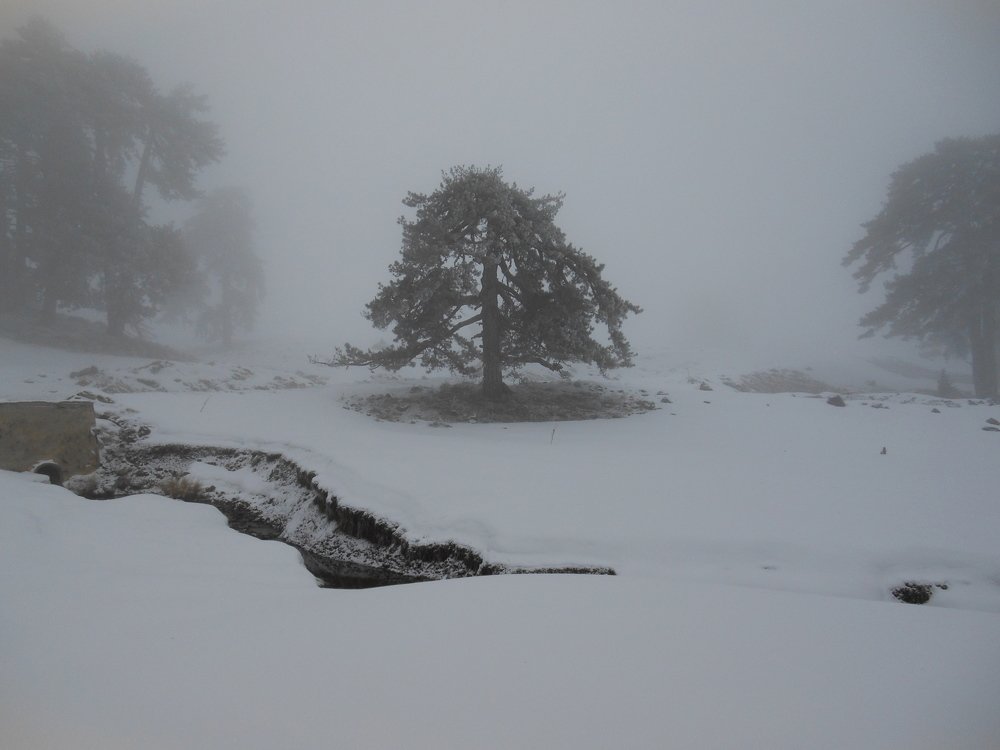 Photograph by Nikos Karatolos