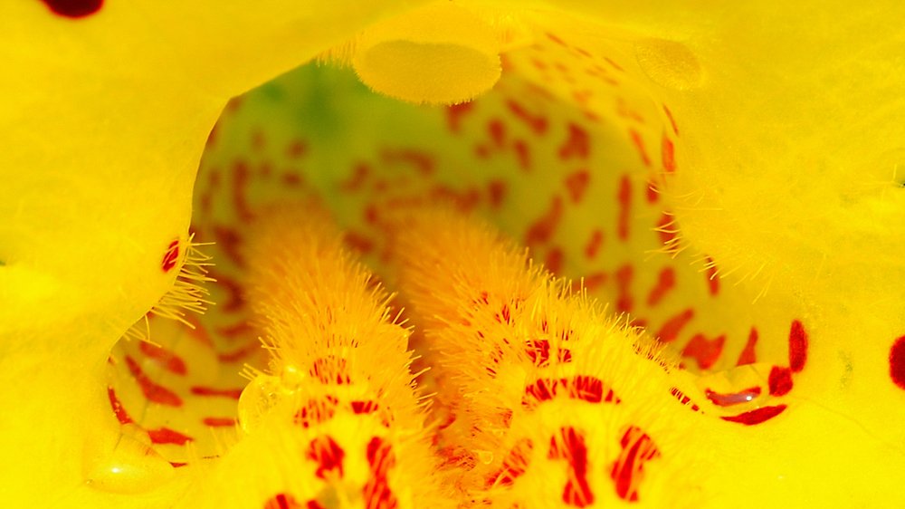 Photograph by Людмила Ефремова