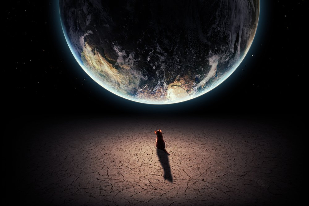 Photograph by Zdenka Janaskova