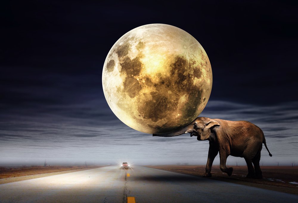 Photograph by Zdenka Janaskova