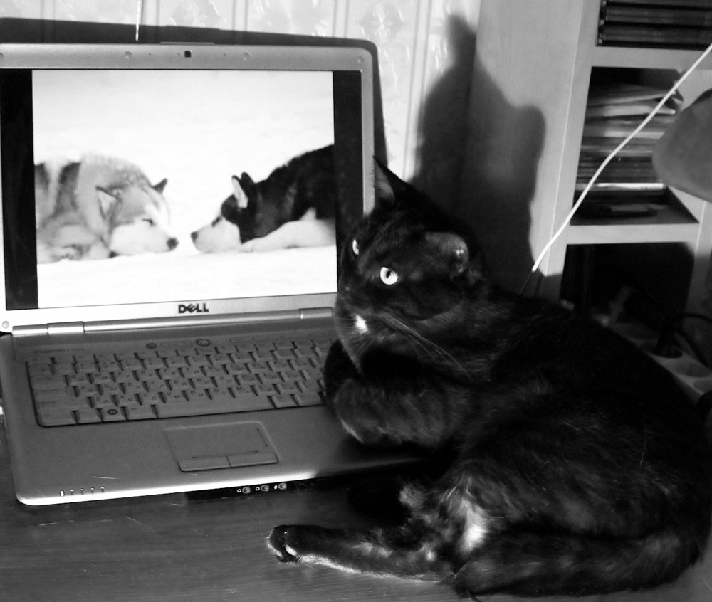 Photograph by Ирина Мамичева