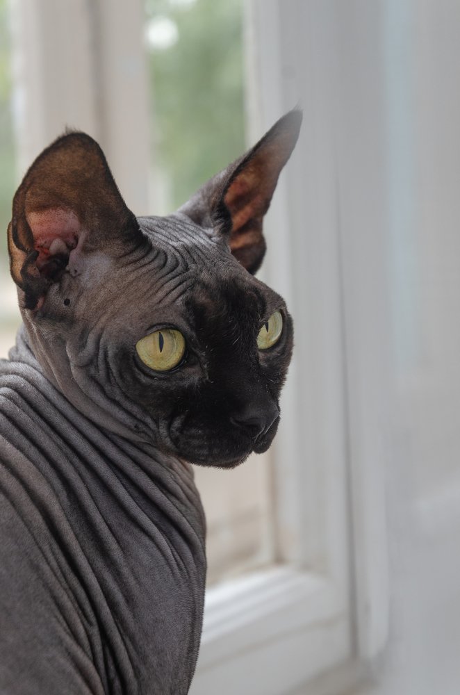 Photograph by Надежда Круглова