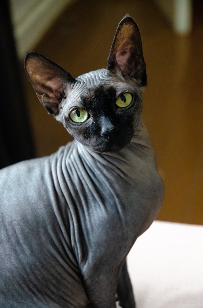 Photograph by Надежда Круглова