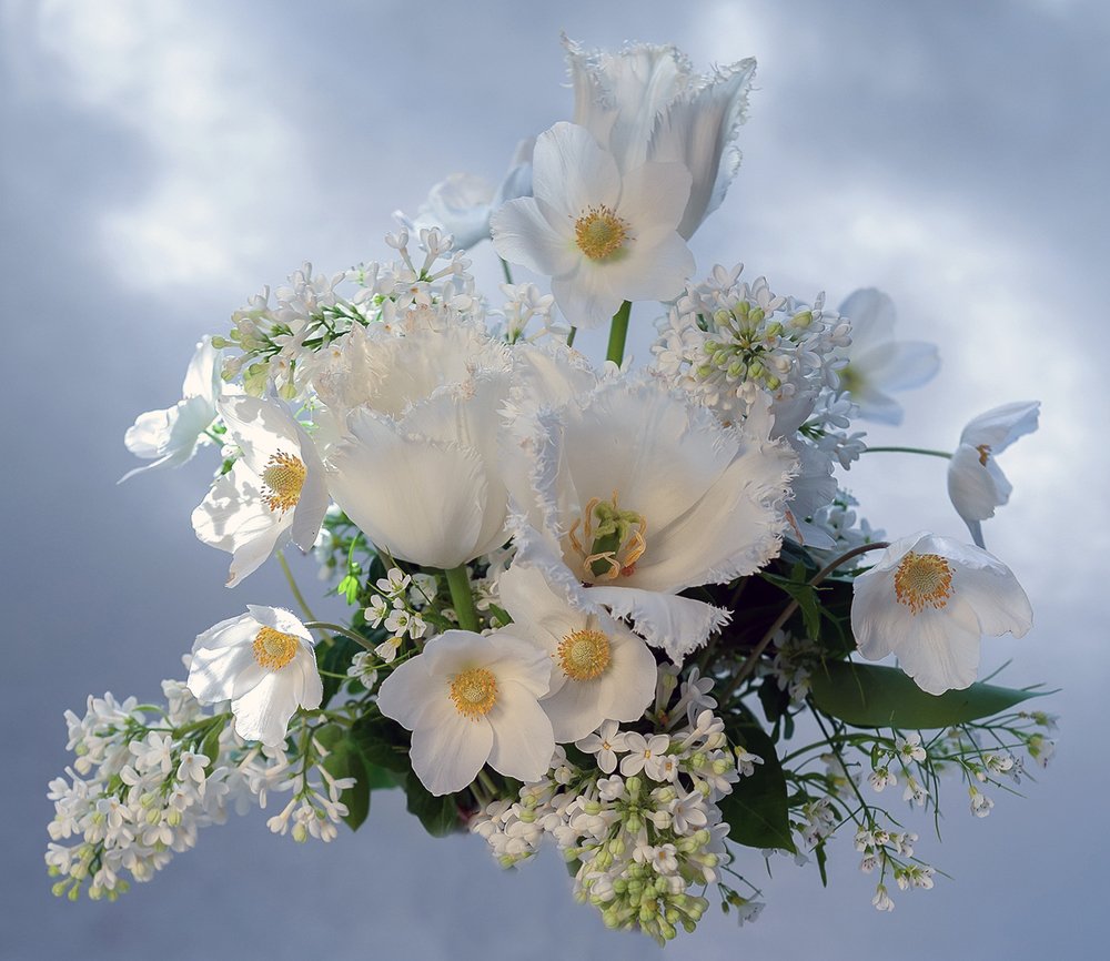 Photograph by Ольга Дядченко