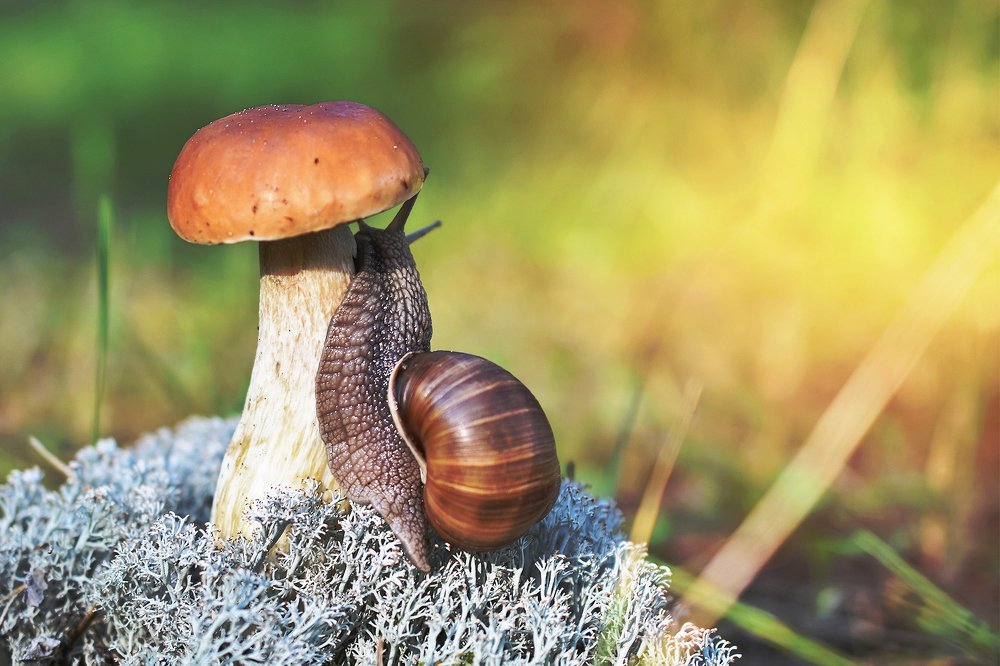 Photograph by Константин Юрченко