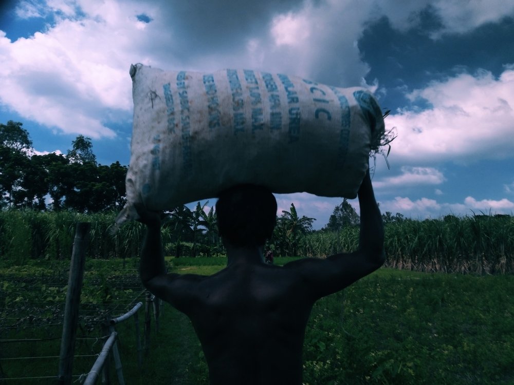 Photograph by Md Abu Sayeed Mondal