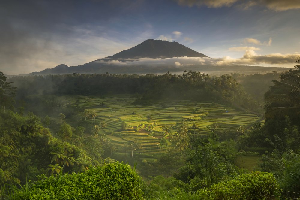 Photograph by Lugyanti Sukrisman