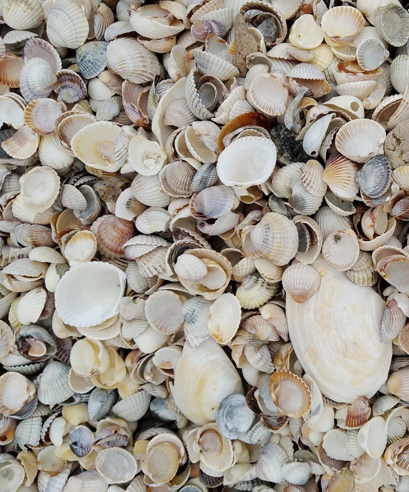 Photograph by Анна Дорошенко