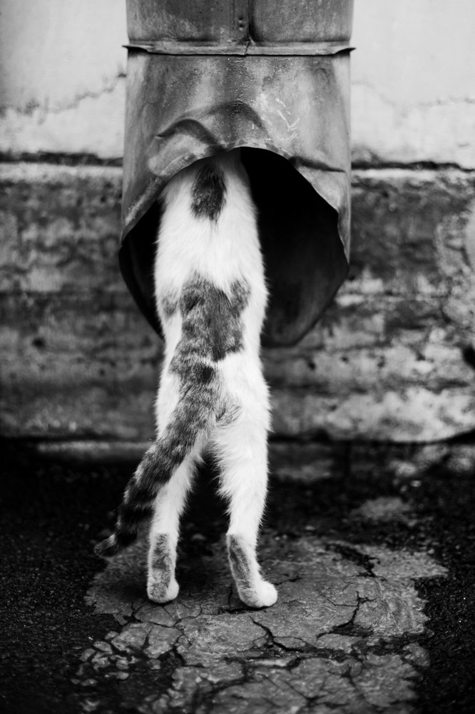 Photograph by Наталия Голованова