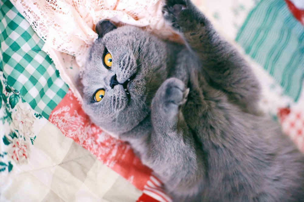 Photograph by Наталия Голованова