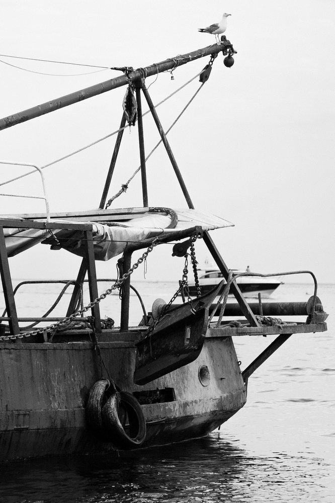 Photograph by Наталия Голованова