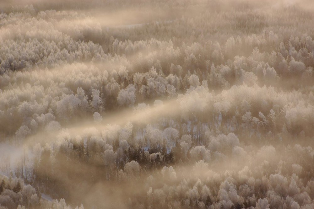 Photograph by Александр Большаков