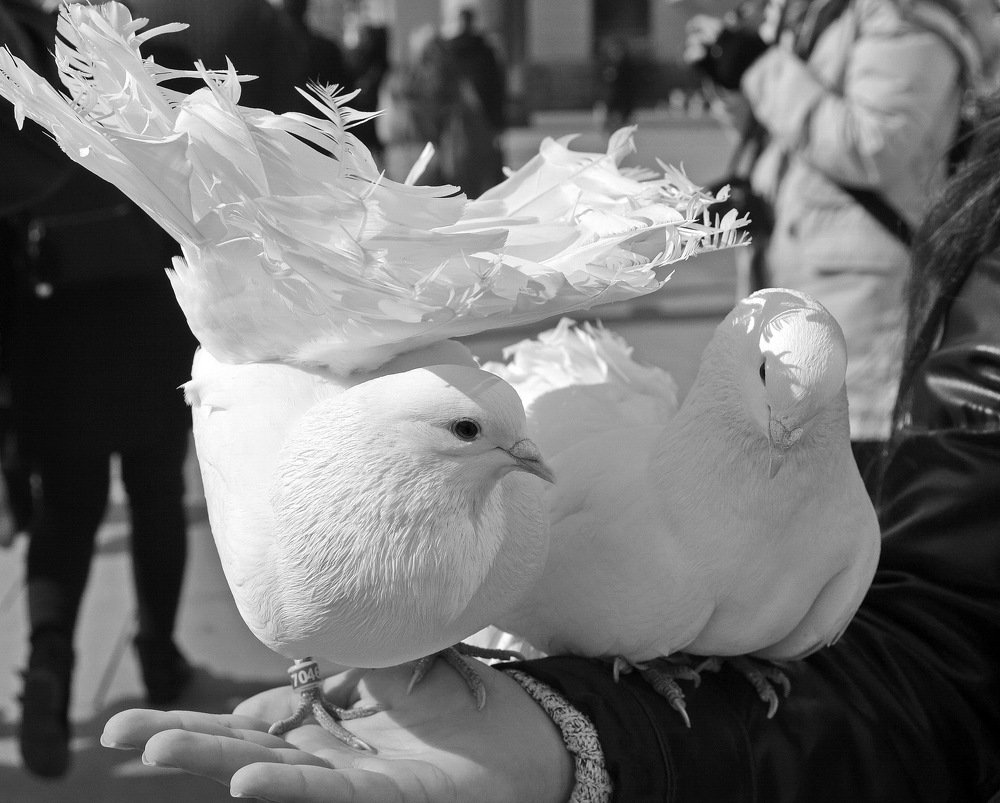 Это - любовь?