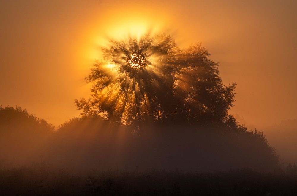 Photograph by Евгений Новицкий