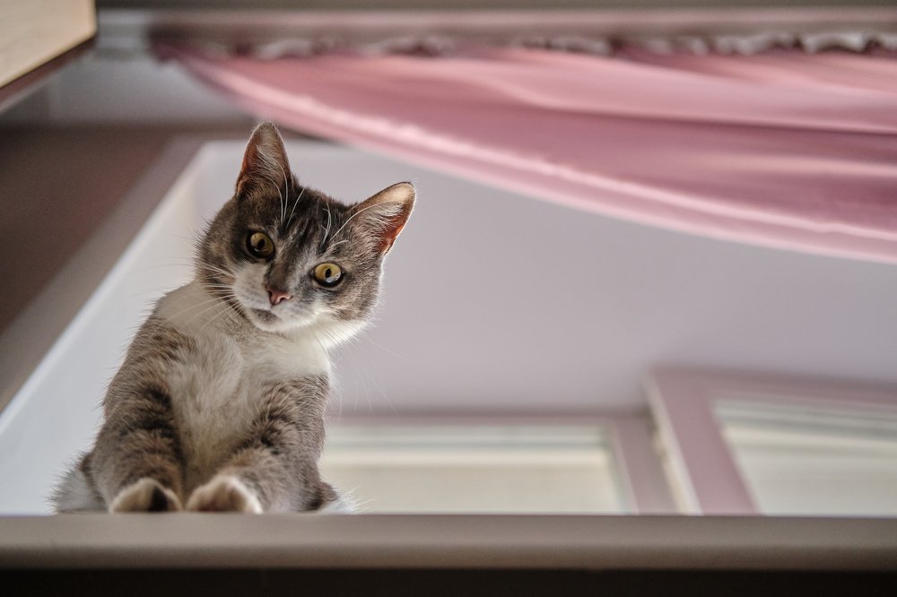 Photograph by Тихоничев Алексей Андреевич