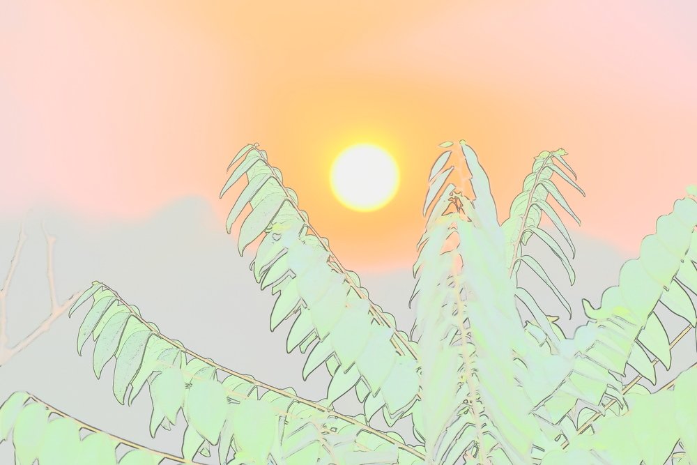 Photograph by Preet saluja