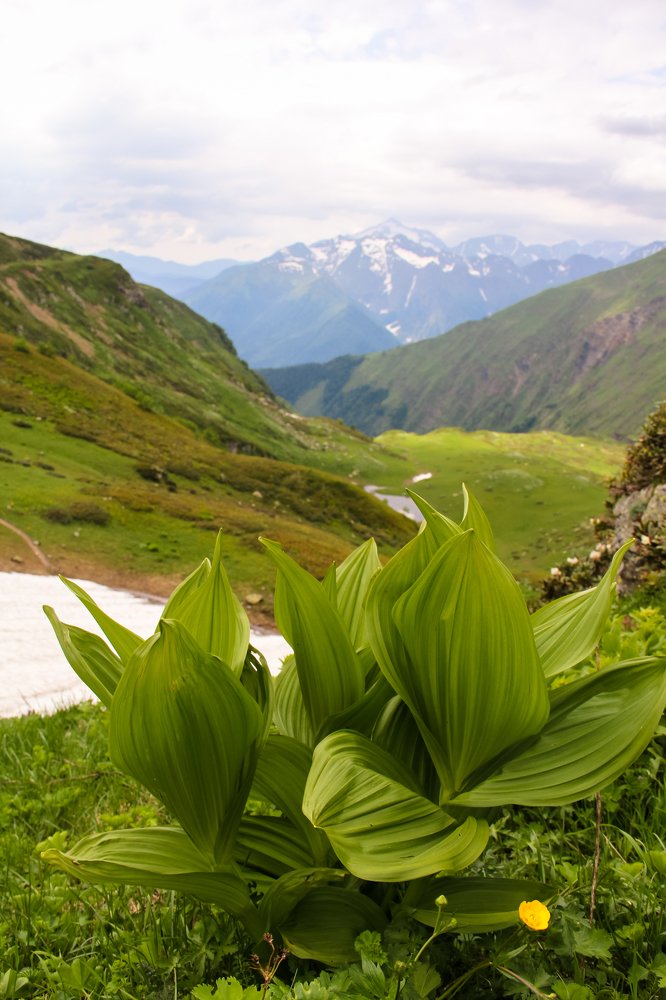 Бзерпинский карниз