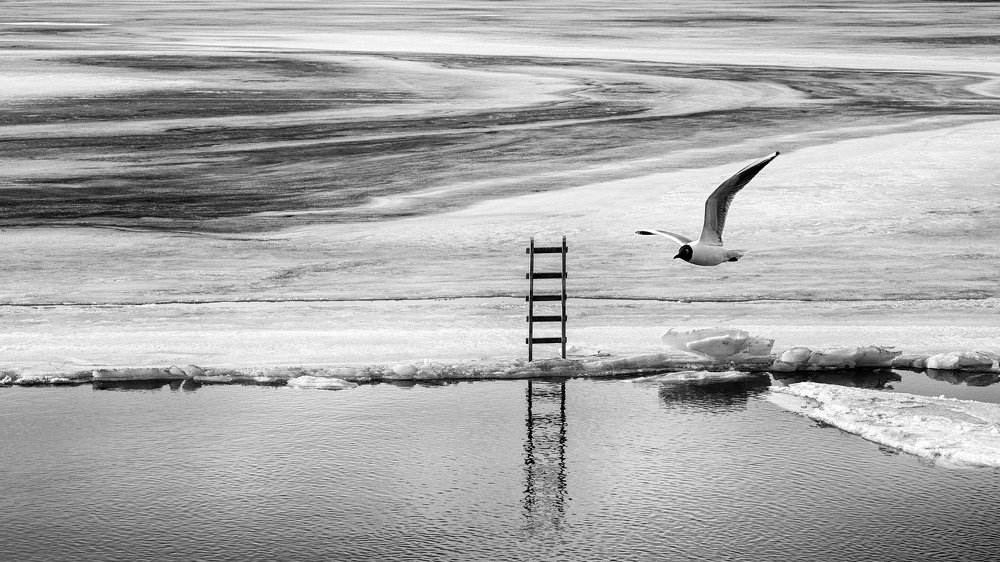 Photograph by Кондуков Игорь