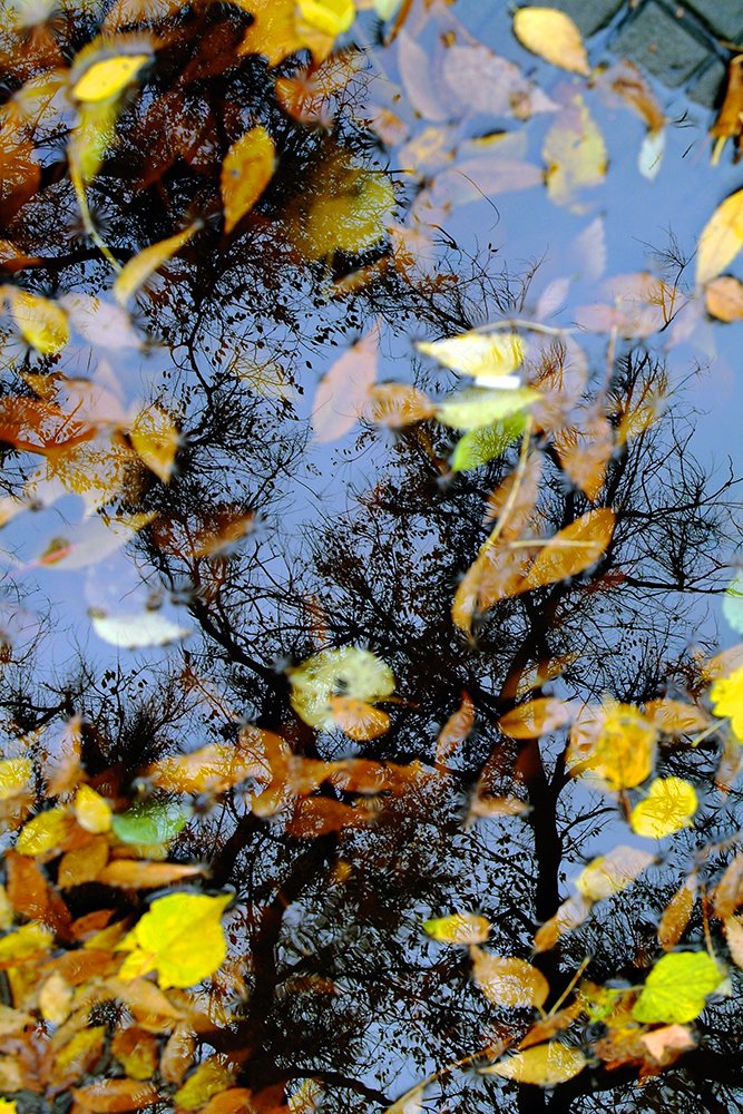 Photograph by Сергей Киселев